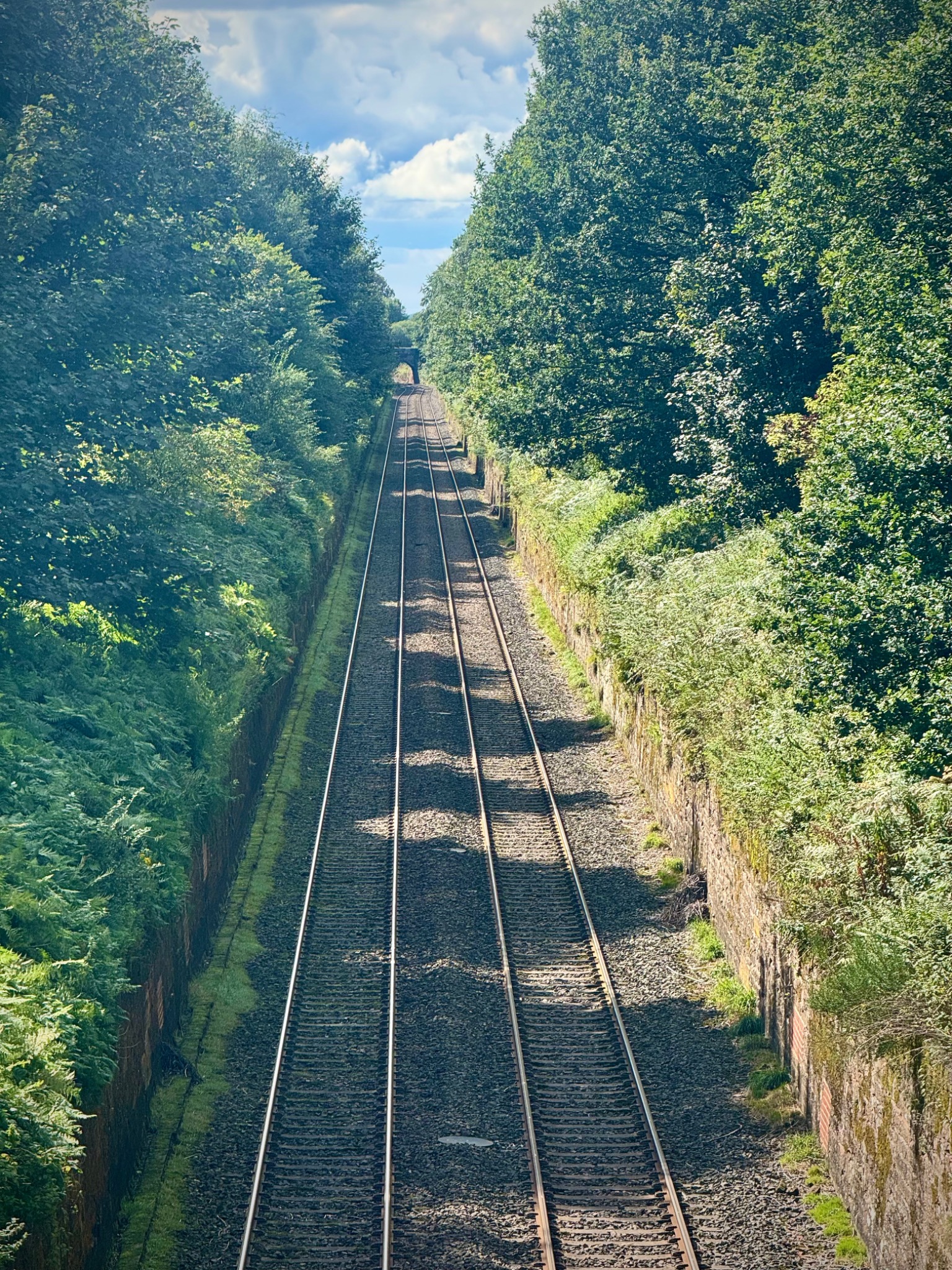 View west through Cowran Cutting towards Cowran Bridge